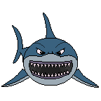 shark1