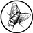 BlackFlyPress BlackFlyPress