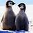Cute-Penguin-Dev