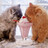 Will_Howlett